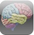 free reference ipad apps brain